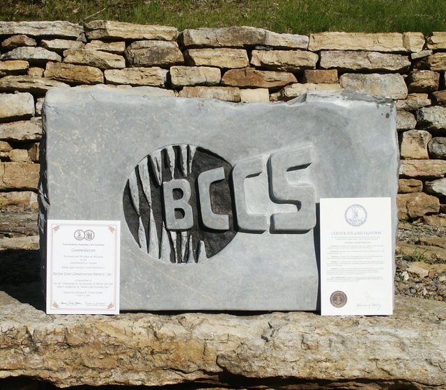 BCCS Stone